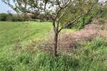 Zemljiste, Pula, Centar, prodaja, 139500 €, 758 m2