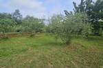 Zemljiste, Poreč, prodaja, 195000 €, 0 m2