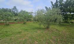 Zemljiste, Poreč, prodaja, 195000 €, 0 m2