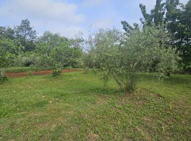 Zemljiste, Poreč, prodaja, 195000 €, 0 m2