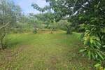 Zemljiste, Poreč, prodaja, 195000 €, 0 m2
