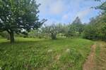 Zemljiste, Poreč, prodaja, 195000 €, 0 m2