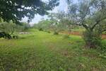 Zemljiste, Poreč, prodaja, 195000 €, 0 m2