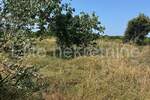 Zemljiste, Ližnjan, Šišan, prodaja, 19500 €, 400 m2