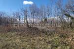 Zemljiste, Labin, prodaja, 788000 €, 65000 m2