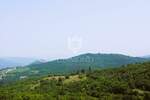 Zemljiste, Poreč, prodaja, 45000 €, 858 m2