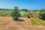 Zemljiste, Novigrad, prodaja, 229000 €, 649 m2