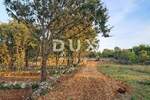 Zemljiste, Crikvenica, prodaja, 69999 €, 569 m2