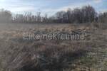 Zemljiste, Barban, prodaja, 37000 €, 11900 m2