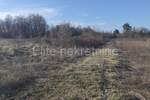 Zemljiste, Barban, prodaja, 37000 €, 11900 m2