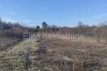 Zemljiste, Barban, prodaja, 37000 €, 11900 m2