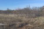 Zemljiste, Barban, prodaja, 37000 €, 11900 m2