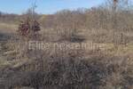 Zemljiste, Barban, prodaja, 37000 €, 11900 m2