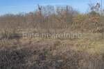Zemljiste, Barban, prodaja, 37000 €, 11900 m2