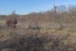 Zemljiste, Barban, prodaja, 37000 €, 11900 m2