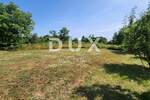 Zemljiste, Barban, prodaja, 27510 €, 655 m2