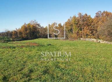 Zemljiste, Žminj, prodaja, 150000 €, 4380 m2