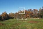 Zemljiste, Žminj, prodaja, 150000 €, 4380 m2