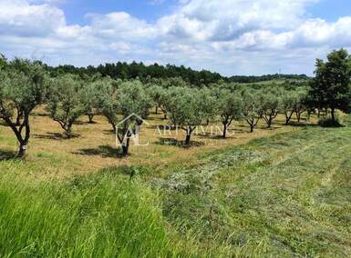 Zemljiste, Poreč, prodaja, 45000 €, 3276 m2
