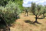 Zemljiste, Poreč, prodaja, 45000 €, 3276 m2