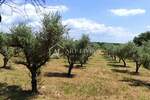 Zemljiste, Poreč, prodaja, 45000 €, 3276 m2