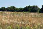 Zemljiste, Ližnjan, Šišan, prodaja, 26000 €, 852 m2