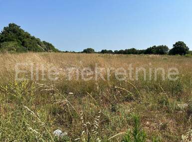 Zemljiste, Ližnjan, Šišan, prodaja, 21000 €, 738 m2