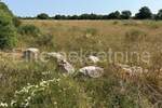 Zemljiste, Ližnjan, Šišan, prodaja, 21000 €, 738 m2