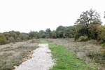 Zemljiste, Svetvinčenat, prodaja, 60000 €, 0 m2