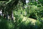Kuca, Fužine, prodaja, 350000 €, 255 m2