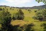 Zemljiste, Ravna Gora, Stari Laz, prodaja, 20500 €, 7008 m2