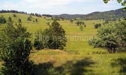 Zemljiste, Ravna Gora, Stari Laz, prodaja, 20500 €, 7008 m2
