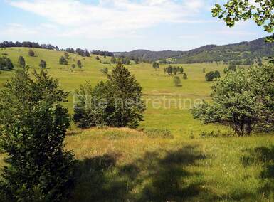 Zemljiste, Ravna Gora, Stari Laz, prodaja, 20500 €, 7008 m2