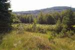 Zemljiste, Ravna Gora, Stari Laz, prodaja, 20500 €, 7008 m2