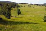 Zemljiste, Ravna Gora, Stari Laz, prodaja, 20500 €, 7008 m2