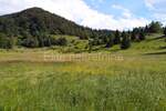 Zemljiste, Ravna Gora, Stari Laz, prodaja, 20500 €, 7008 m2
