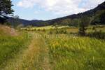 Zemljiste, Ravna Gora, Stari Laz, prodaja, 20500 €, 7008 m2
