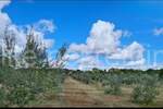 Zemljiste, Vodnjan, prodaja, 470000 €, 43223 m2