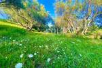 Zemljiste, Cerovlje, prodaja, 125000 €, 2257 m2