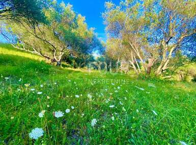 Zemljiste, Cerovlje, prodaja, 125000 €, 2257 m2