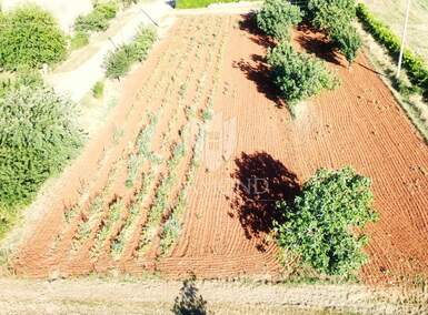 Zemljiste, Poreč, prodaja, 212400 €, 1180 m2