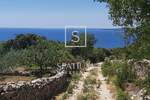 Stan, Labin, prodaja, 97500 €, 650 m2