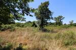 Zemljiste, Barban, prodaja, 37000 €, 670 m2