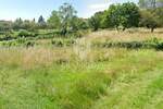 Zemljiste, Barban, prodaja, 92180 €, 838 m2