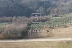 Zemljiste, Motovun, prodaja, 195000 €, 1953 m2
