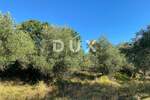 Zemljiste, Cerovlje, Draguć, prodaja, 115000 €, 2257 m2