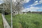 Kuca, Zadar, Diklo, prodaja, 125000 €, 123 m2