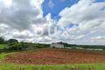 Zemljiste, Tinjan, prodaja, 88000 €, 1206 m2