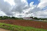 Zemljiste, Tinjan, prodaja, 88000 €, 1206 m2