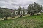 Zemljiste, Cerovlje, Grimalda, prodaja, 23500 €, 2529 m2